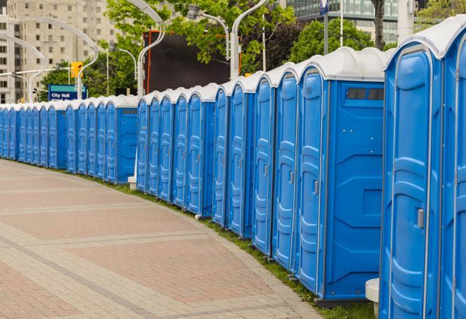 hygienic portable restrooms lined up at a music festival, providing comfort and convenience for attendees in Alden, NY